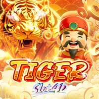 Hổ Slot4D game screenshot